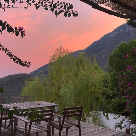 Bed and Breakfast Casa Flora Виетри Экстерьер фото