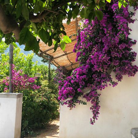 Bed and Breakfast Casa Flora Виетри Экстерьер фото