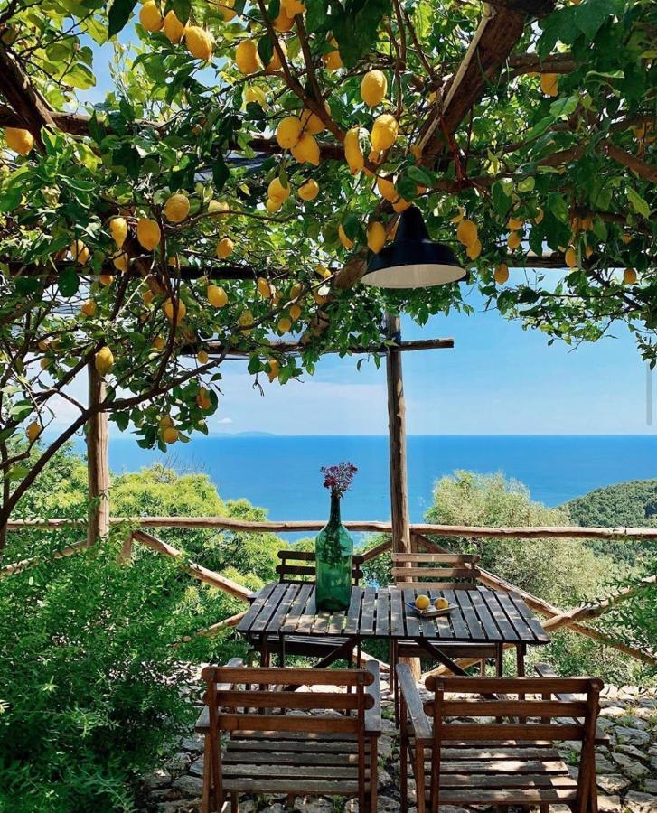 Bed and Breakfast Casa Flora Виетри Экстерьер фото